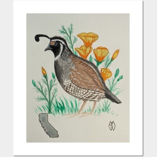 California state bird & flower, the California quail & poppy Posters and Art